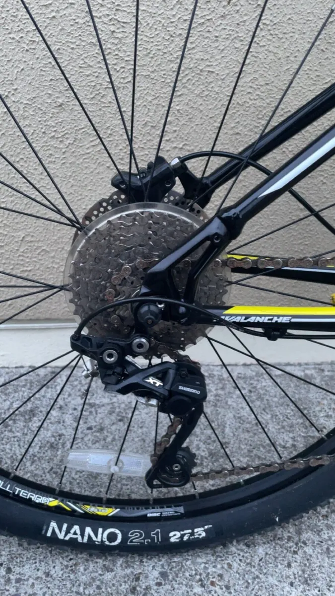 GT avalanche expert - Image 3