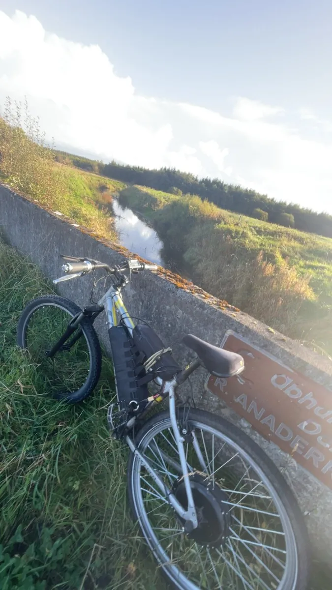 1000w 48v electric bike - Image 2