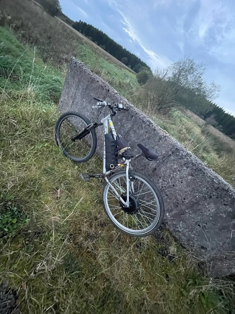 1000w 48v electric bike - Image 3