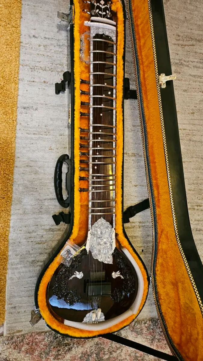 Sitar compact style - Image 1