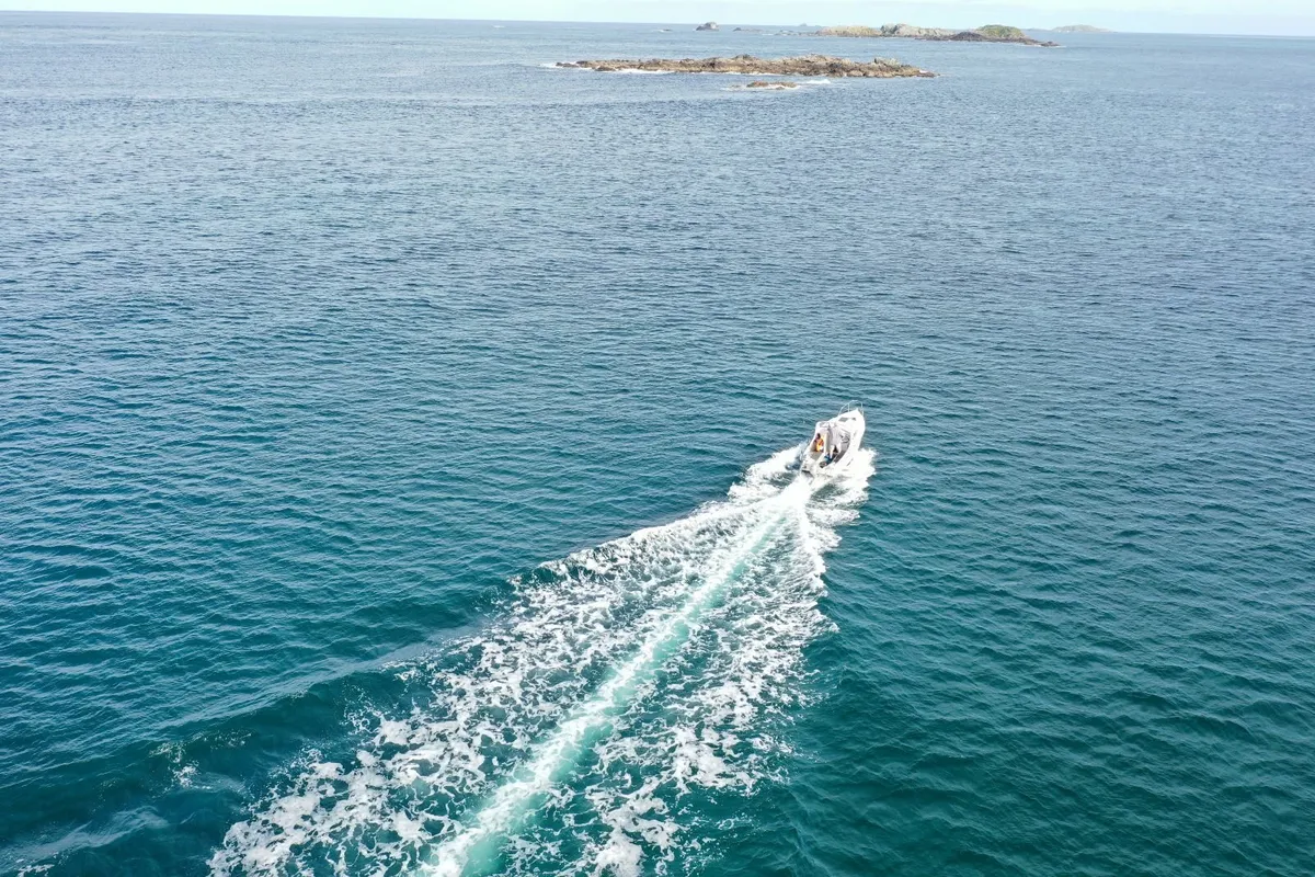 16ft Mayland Cabin Cruiser with Honda Outboard - Image 1