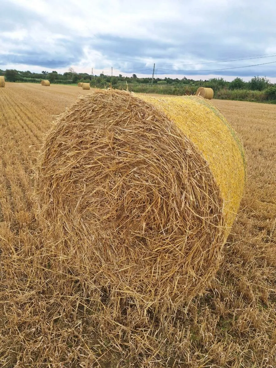 Straw