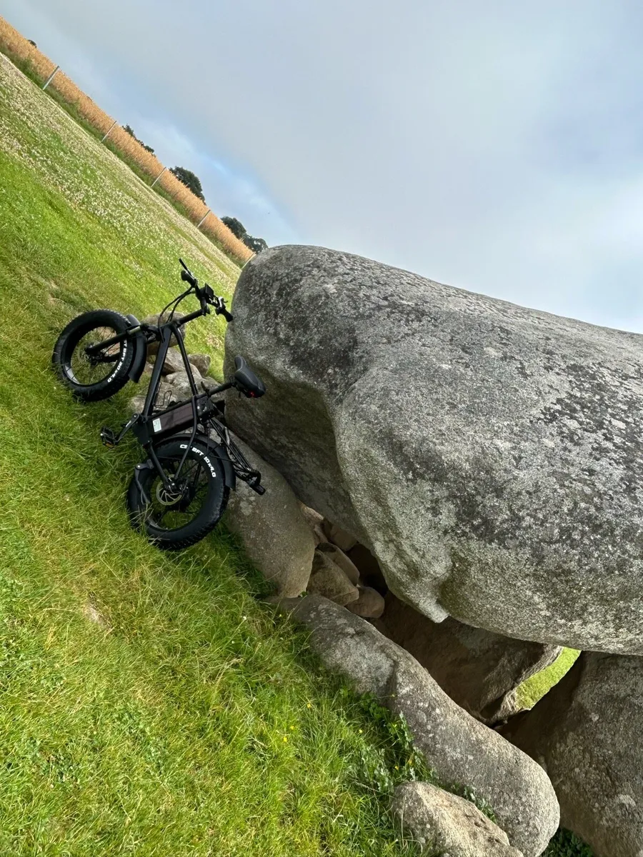 750w electric bike with upgraded 48v 20ah battery - Image 1