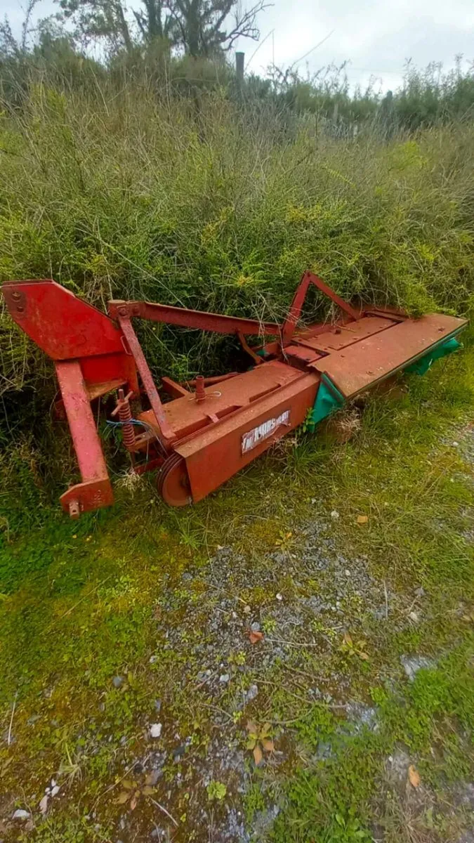 Mower - Image 2