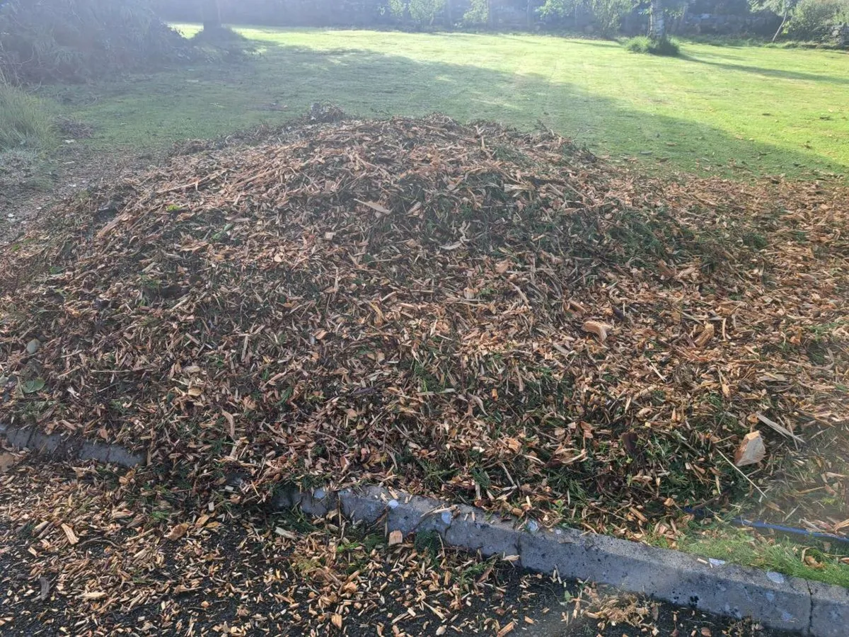 Wood chip - Image 1