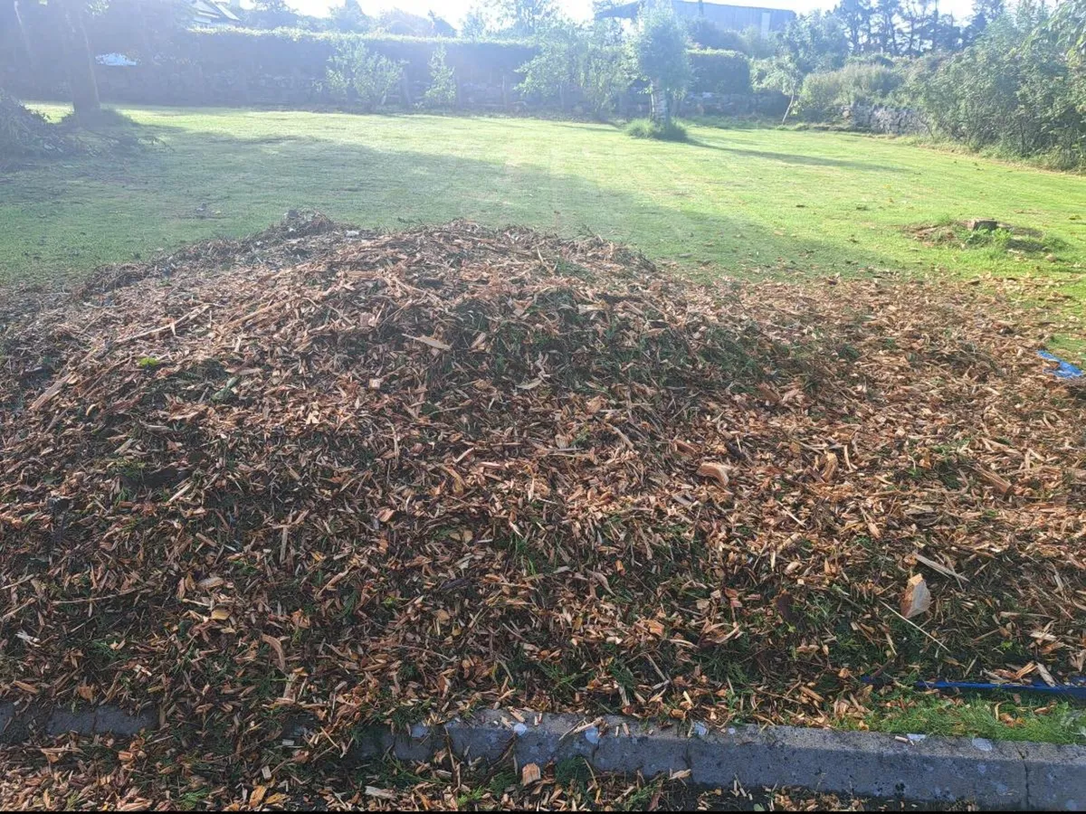 Wood chip - Image 2