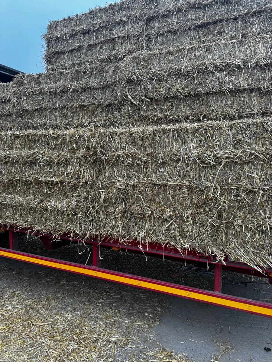 Wheaten Straw - Image 1