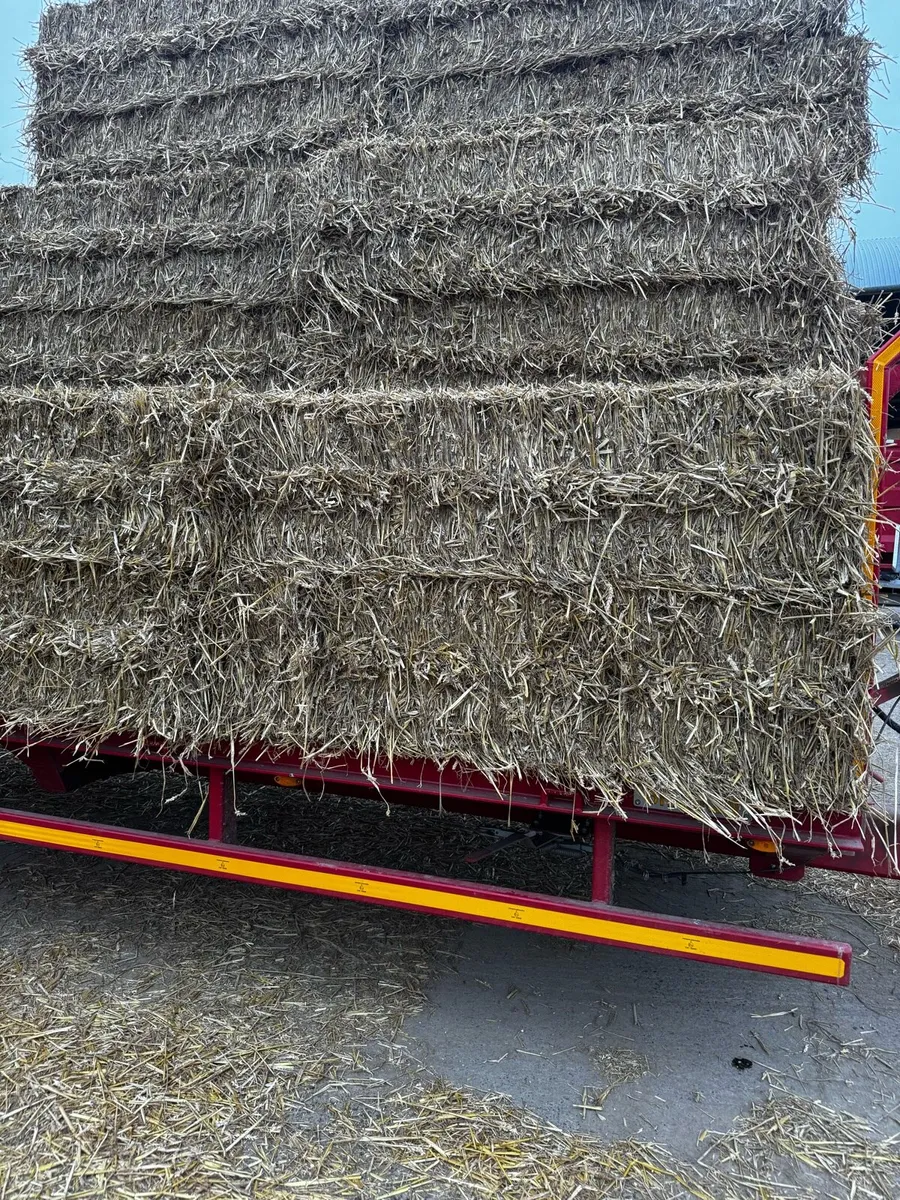 Wheaten Straw - Image 2