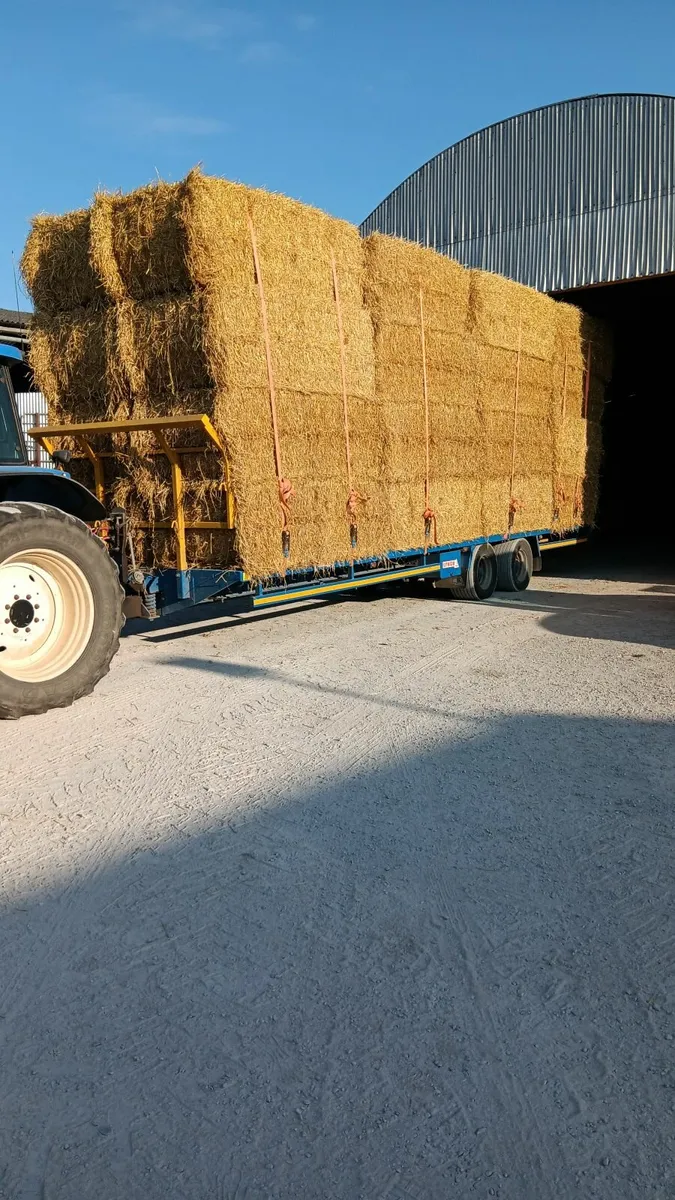 Straw - Image 1