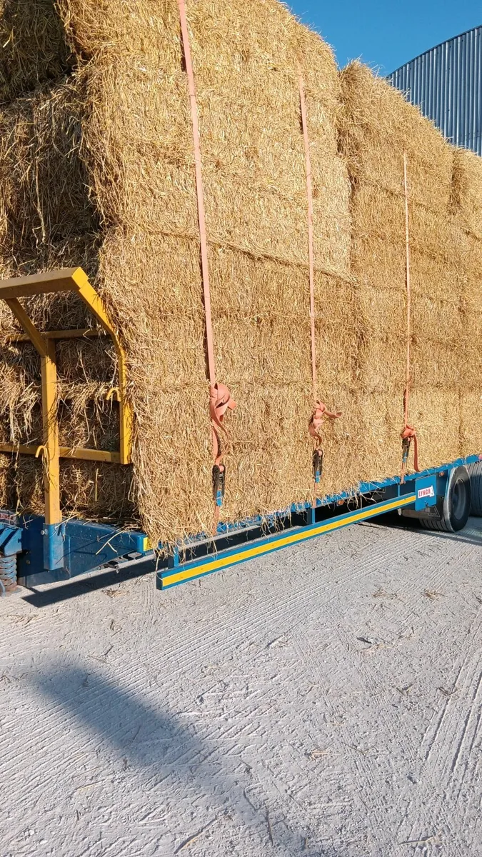 Straw - Image 2