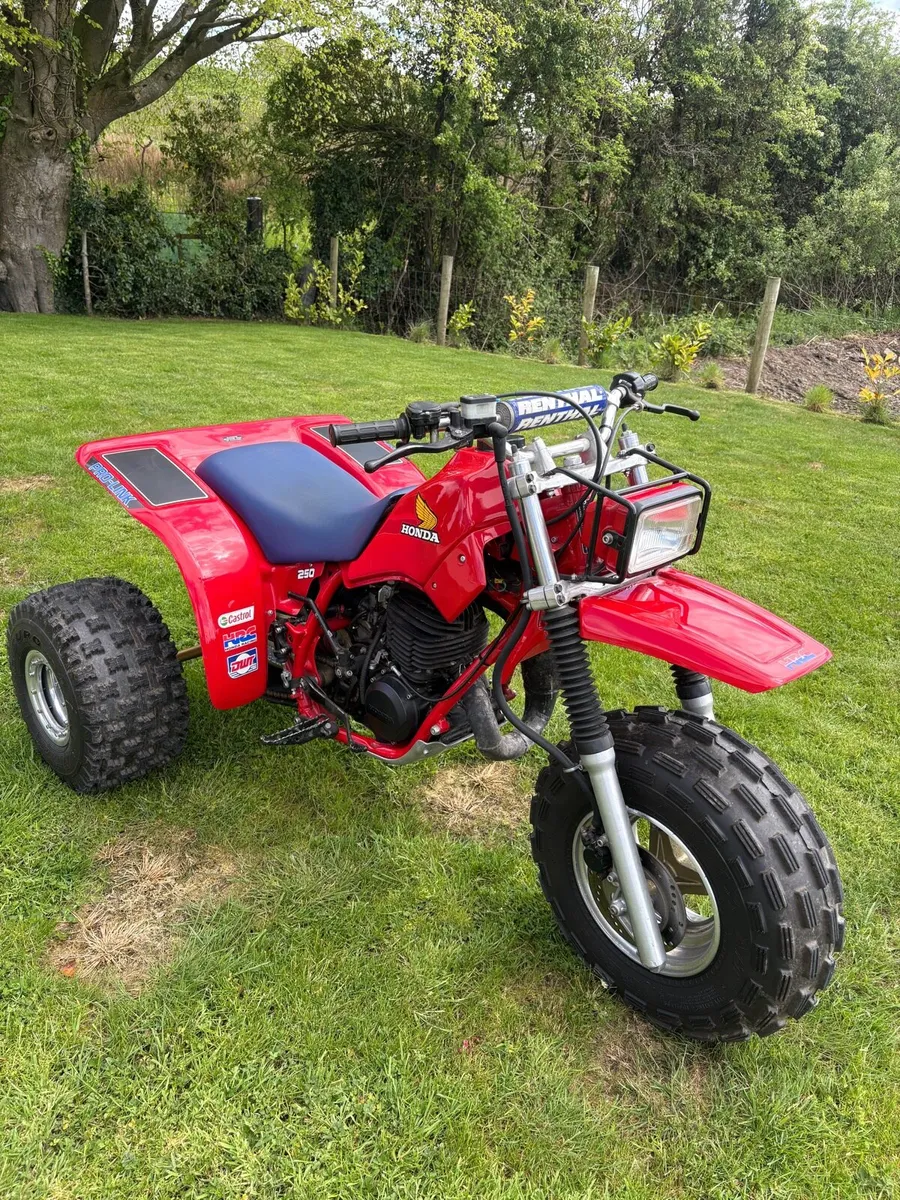 1983 Honda ATC 250r - Image 2