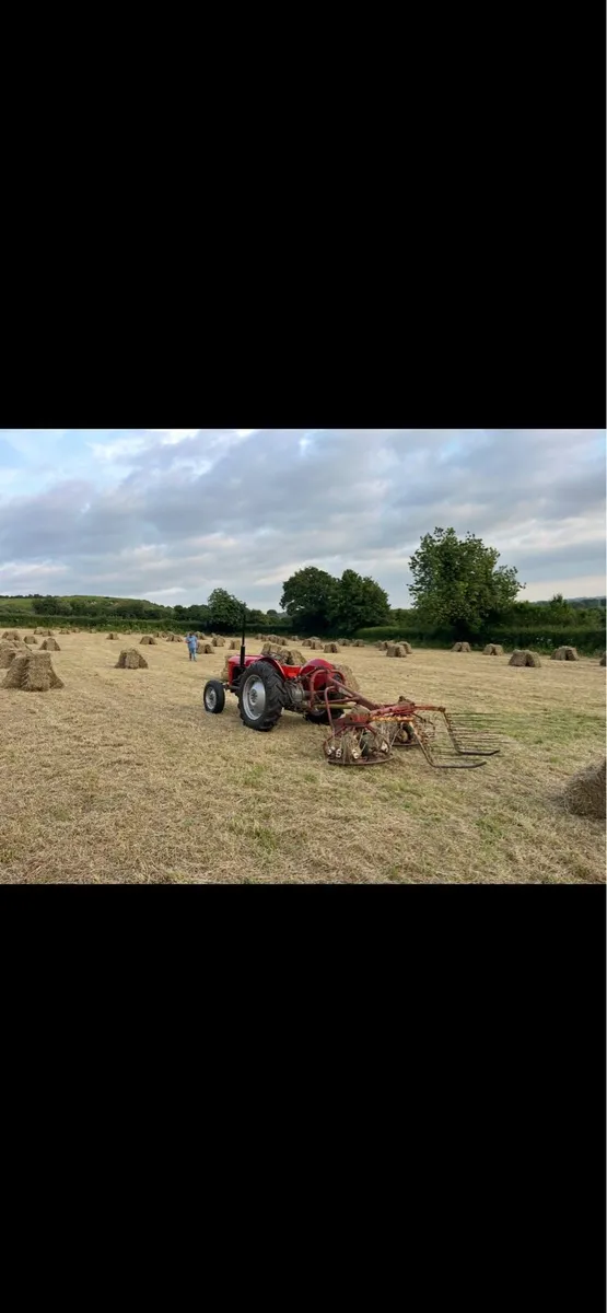Small squares hay
