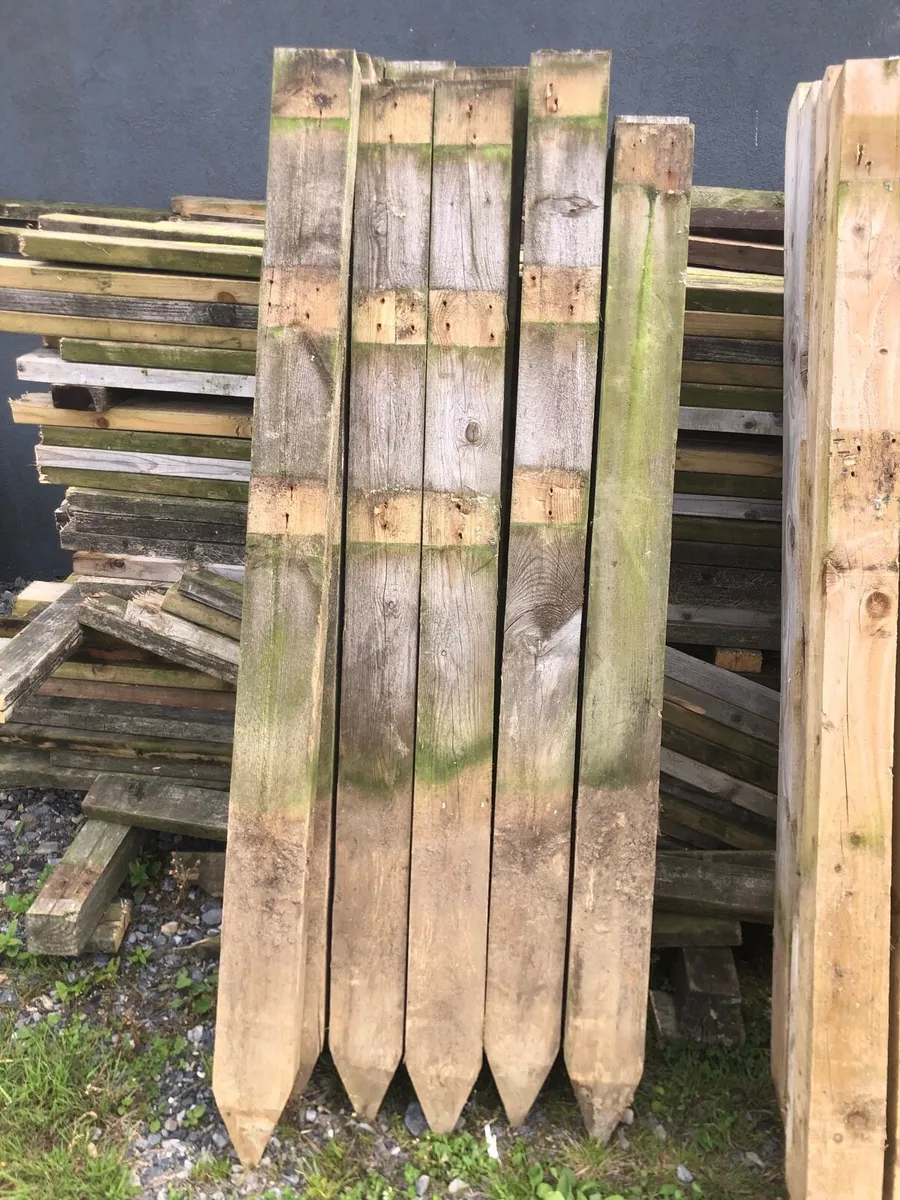 Fencing - Image 1