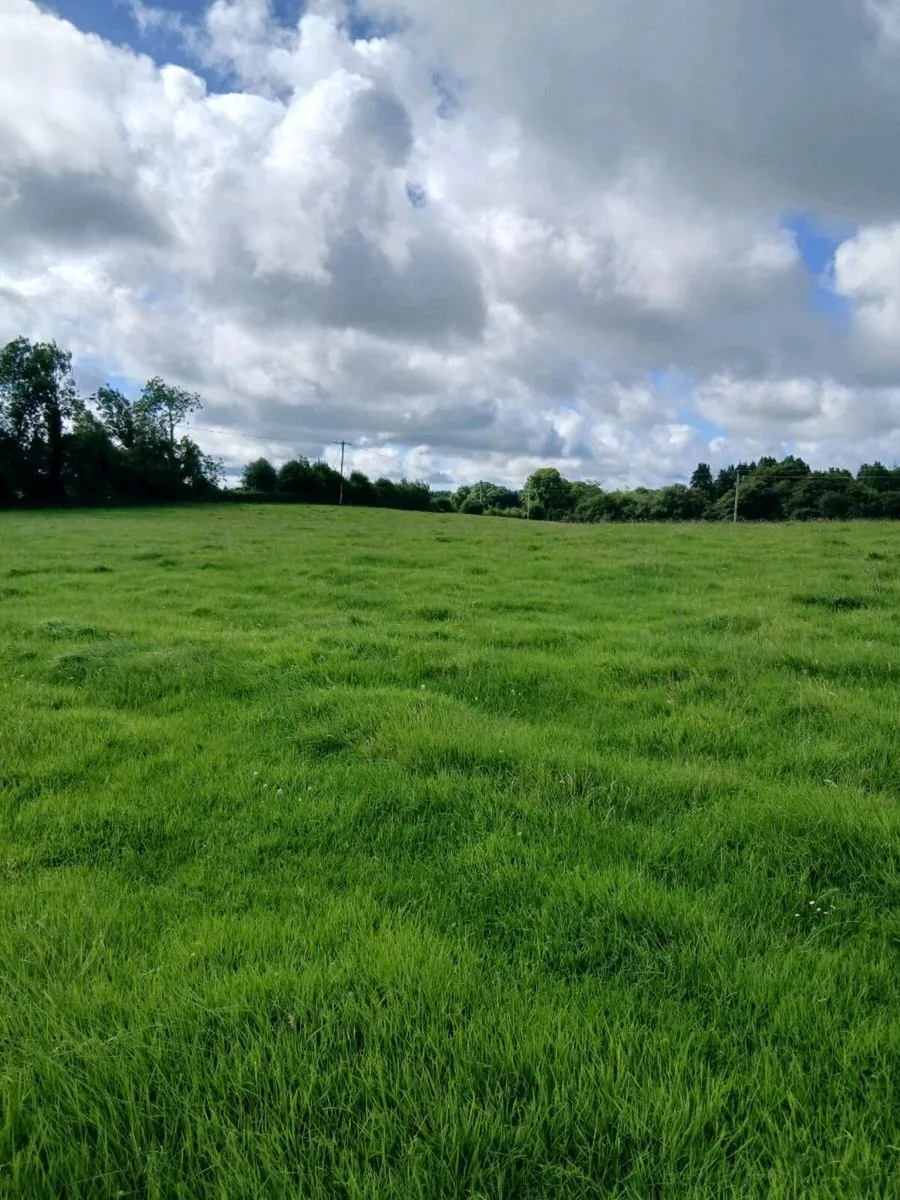 Silage