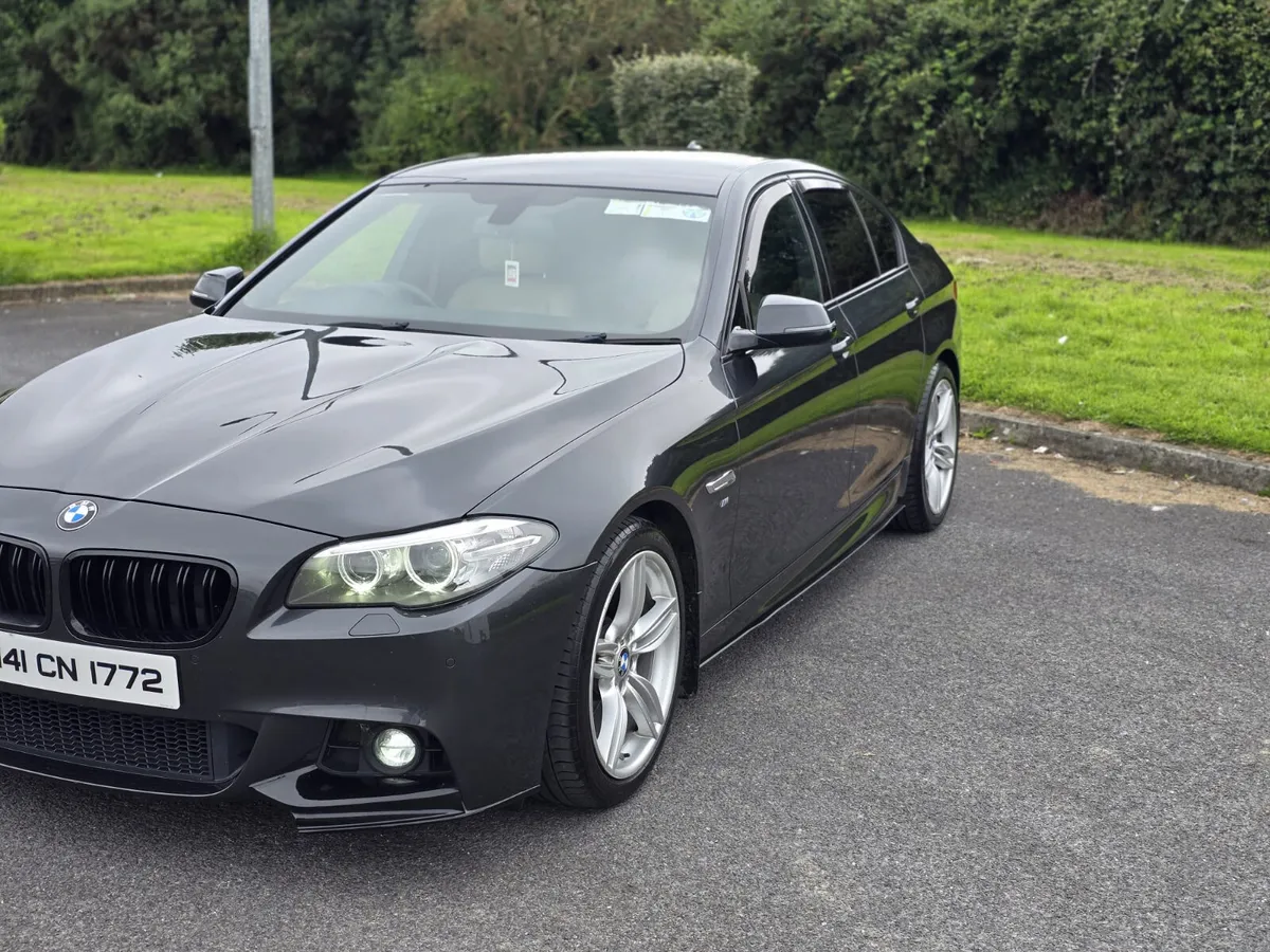 141 BMW F10 520d - Image 2