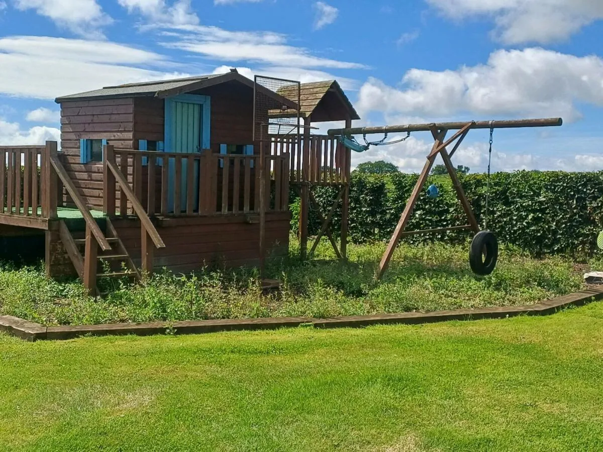 Playhouse/ swings & slide