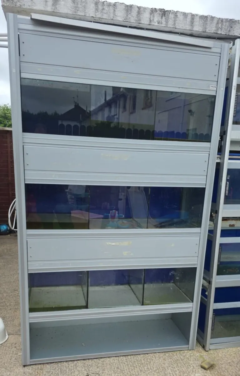 Fish rack - Image 1