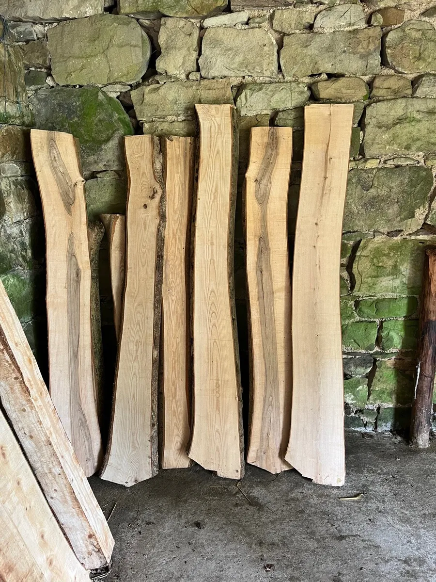 Solid wood planks - Image 2