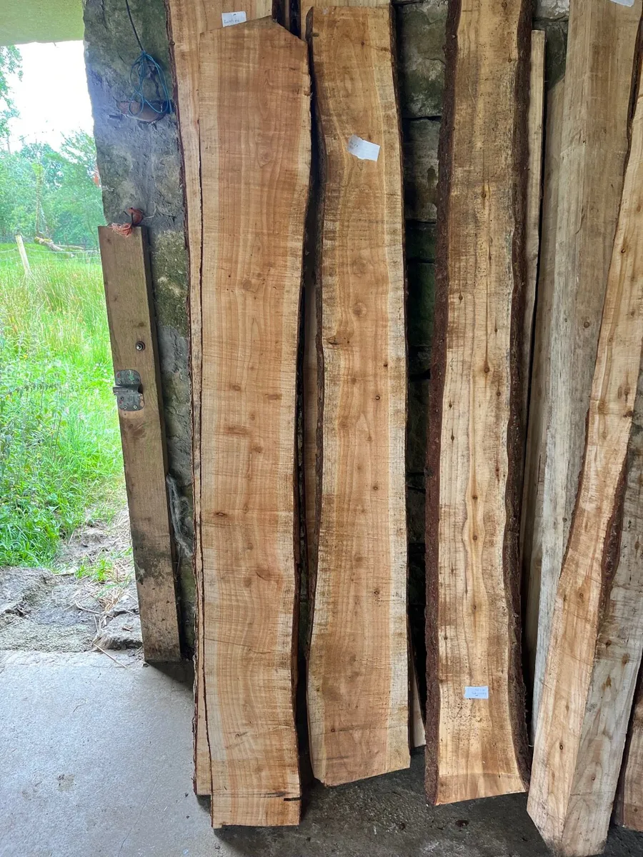 Solid wood planks - Image 3