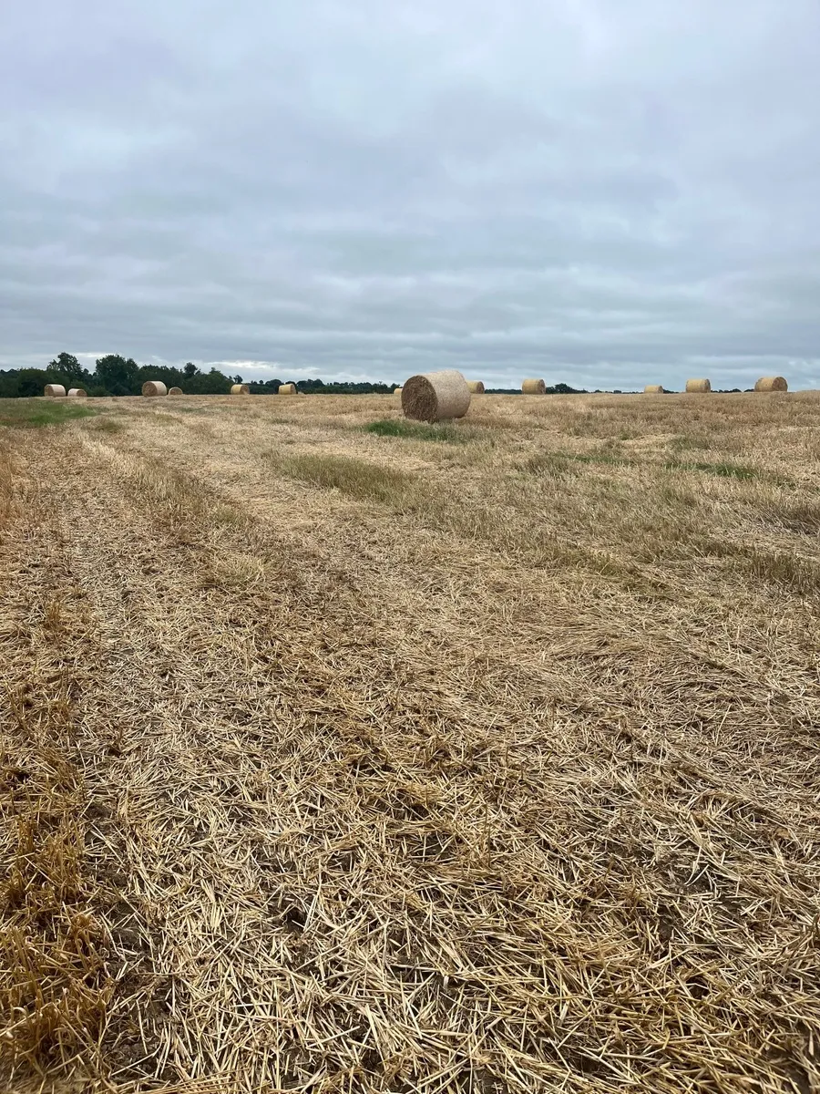 Barley Straw 4X4 - Image 1