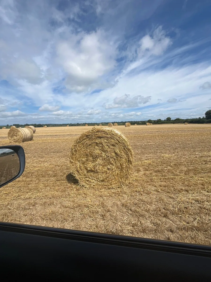 Spring barely 4x4 bales 10mins from m8 motorway - Image 4
