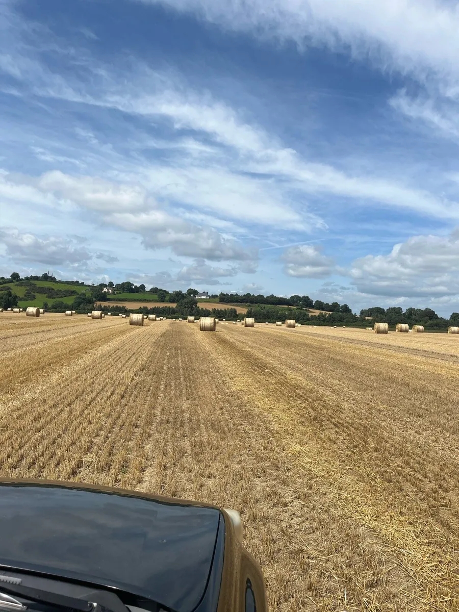 Spring barely 4x4 bales 10mins from m8 motorway - Image 1