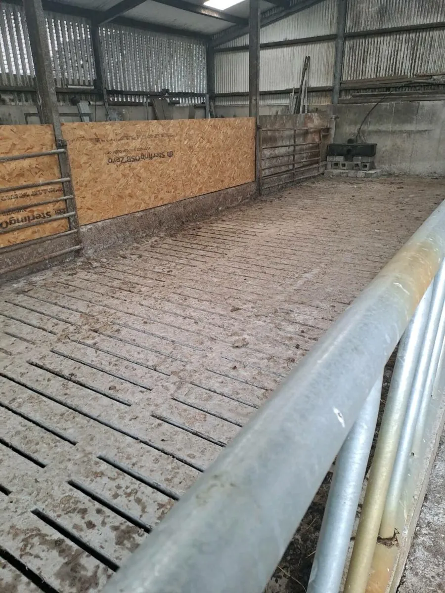 Winter Accommodation (Slatted Shed) - Image 3