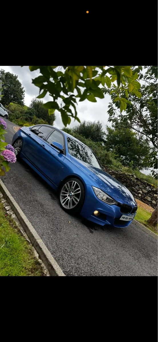 BMW 320D MSport Estoril Blue - Image 2