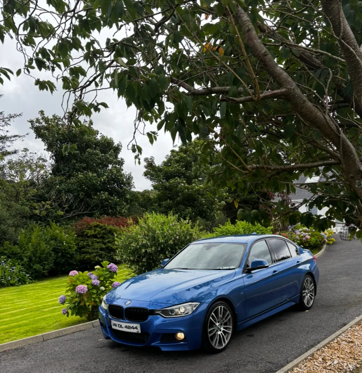 BMW 320D MSport Estoril Blue - Image 3