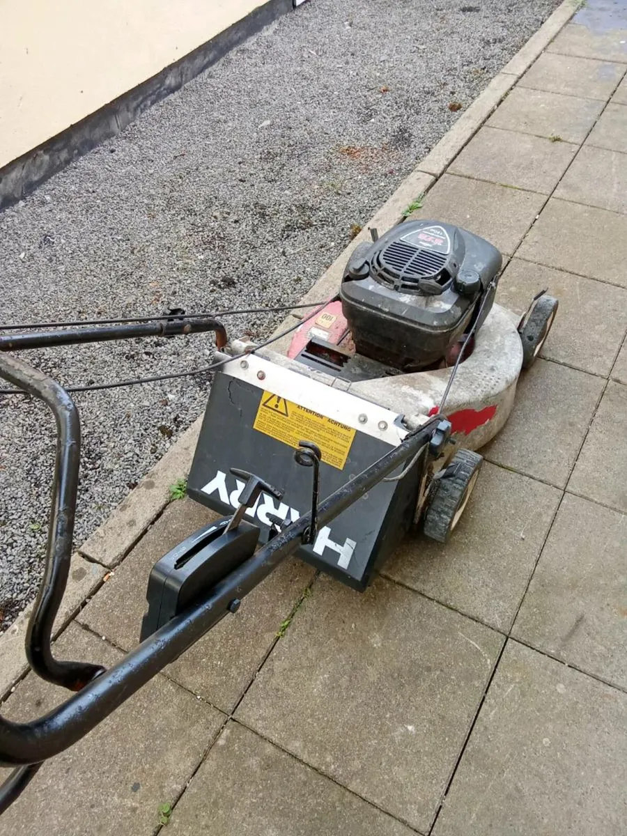 Harry lawnmower - Image 1