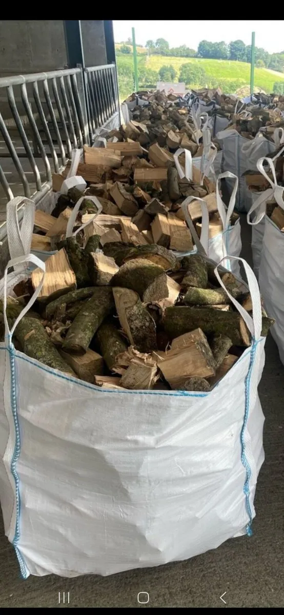 Largs bags of firewood - Image 2