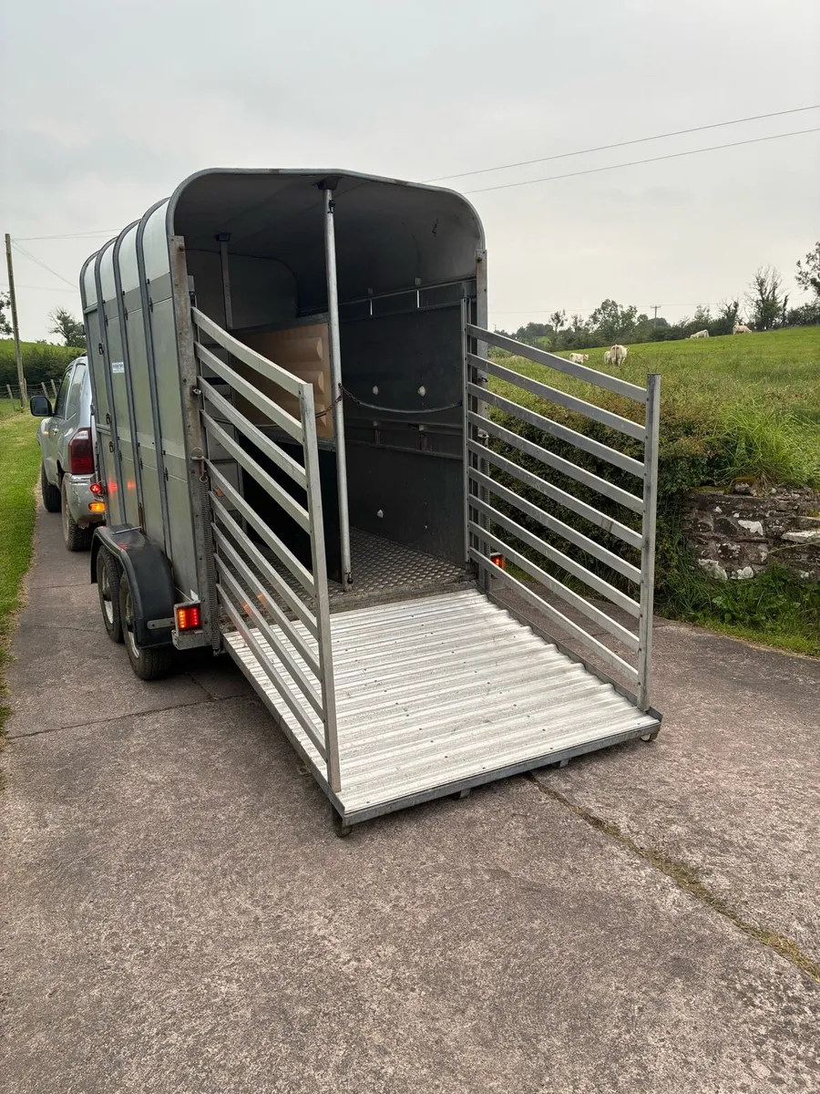 Ifor Williams cattle / sheep / horse trailer - Image 2