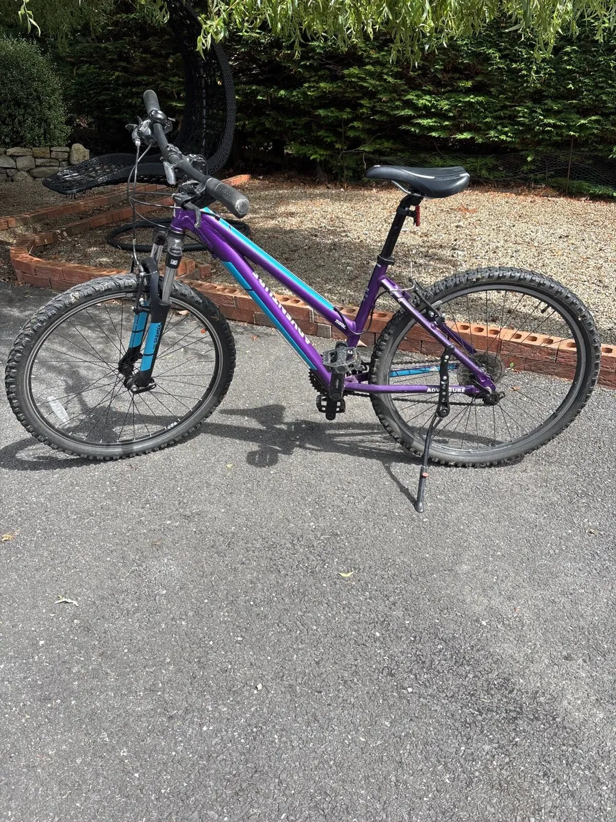 Bicycle - Image 1