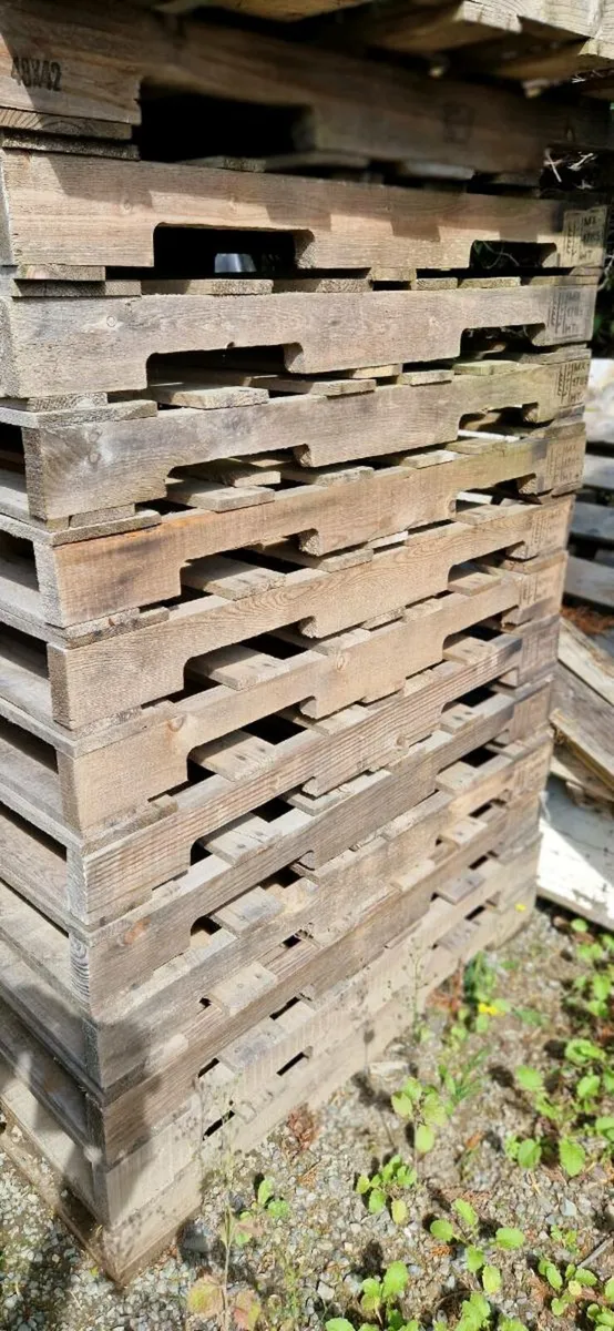 Pallets  Kindling - Image 3