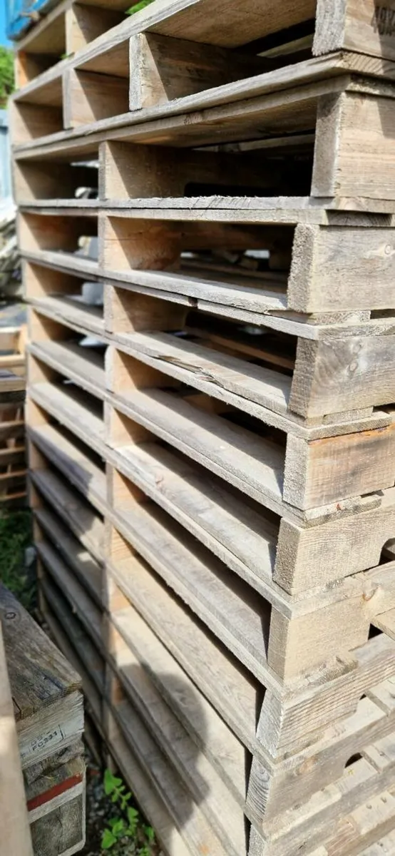 Pallets  Kindling - Image 4