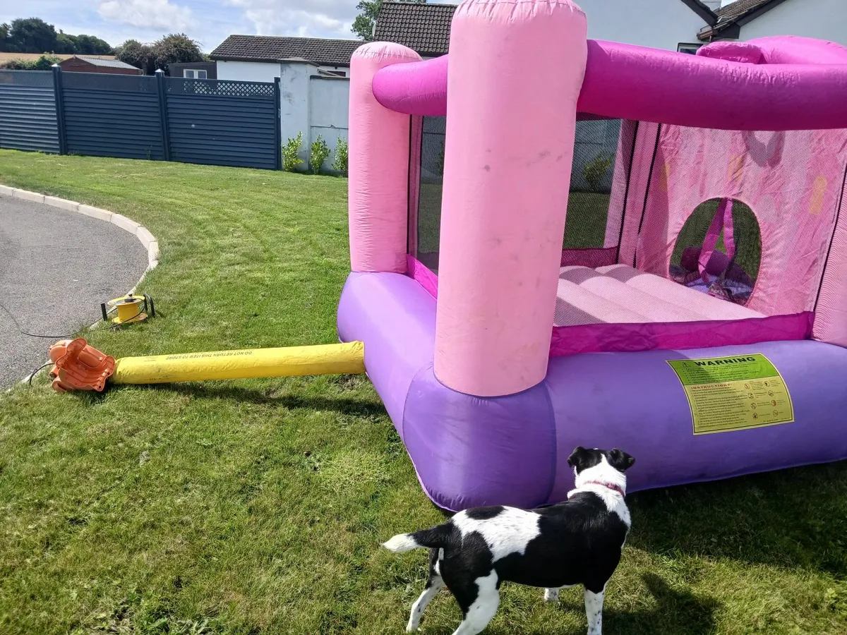 Bouncy castle - Image 2