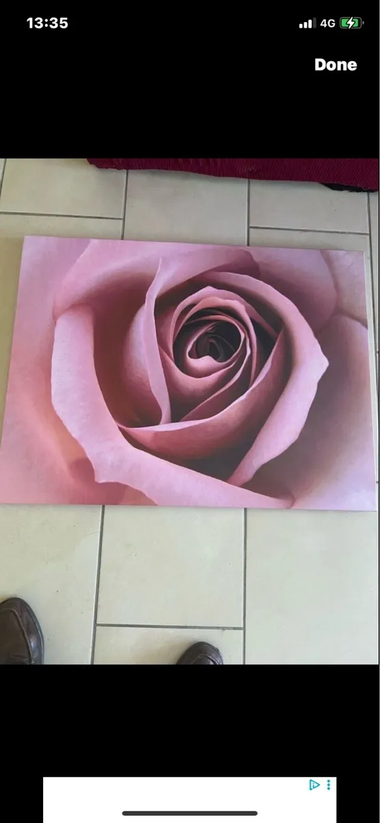 Large Rose Canvas Srt - Image 1