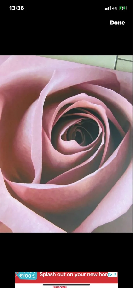 Large Rose Canvas Srt - Image 2
