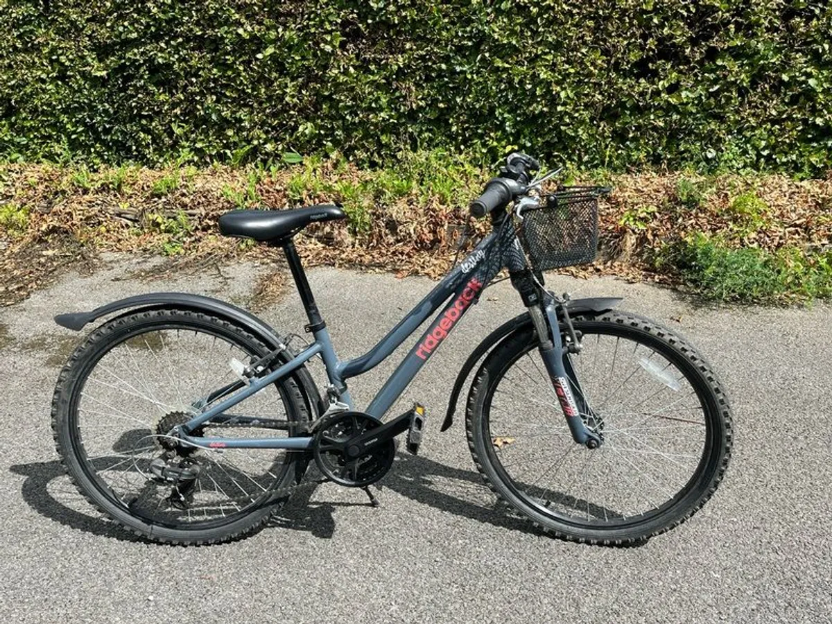 Girls Ridgeback 24" bike - Image 1