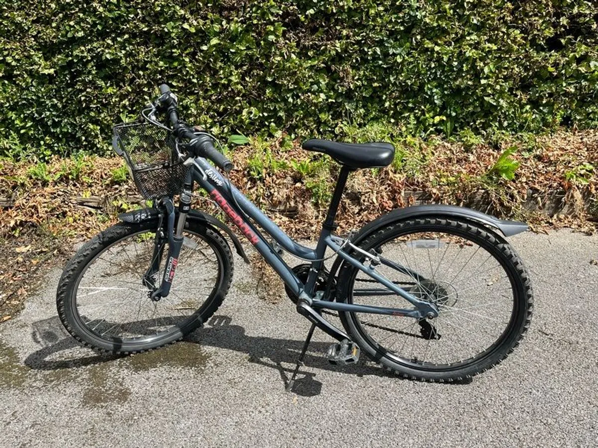Girls Ridgeback 24" bike - Image 2