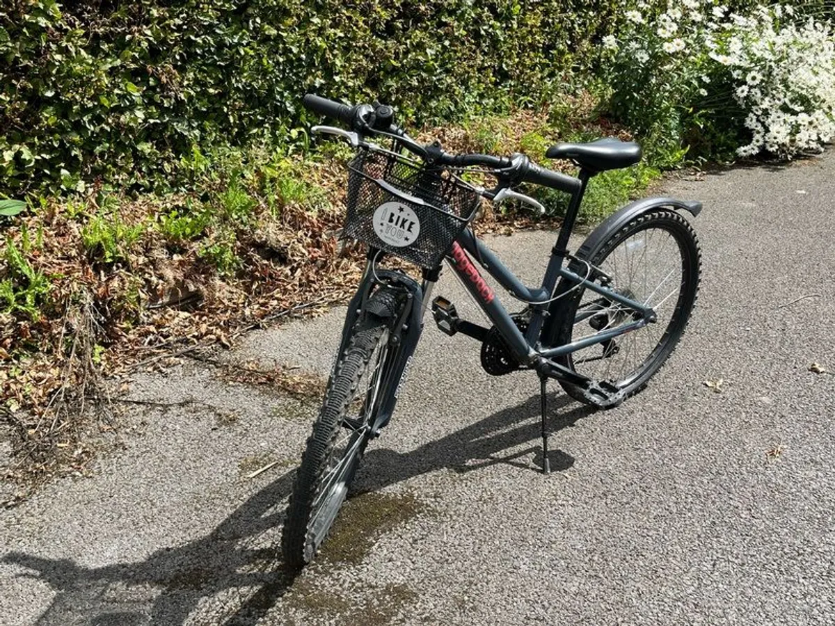 Girls Ridgeback 24" bike - Image 3