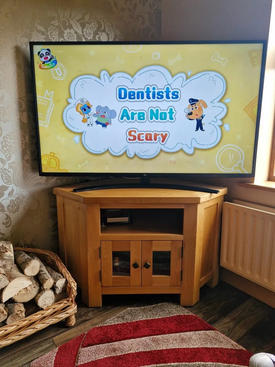 TV unit