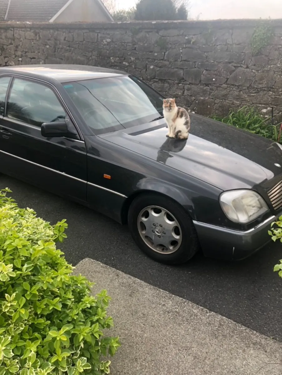 Mercedes-Benz Other 1993 - Image 3