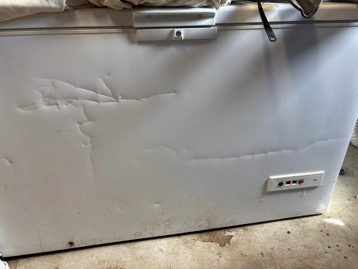 Chest freezer - Image 1