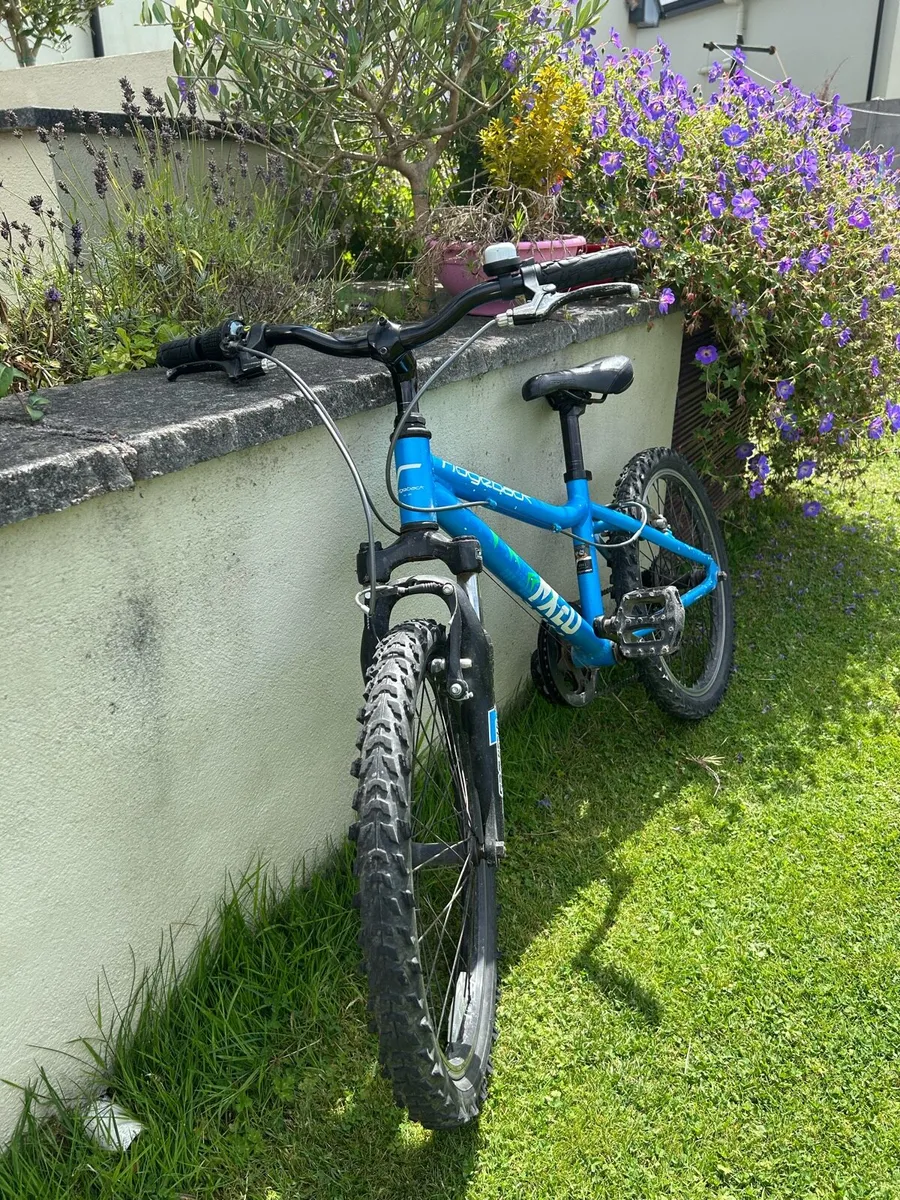 20in kids Bike - Image 2