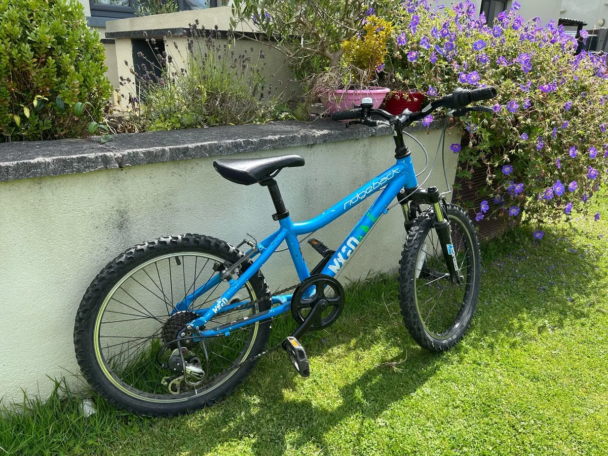 20in kids Bike - Image 3