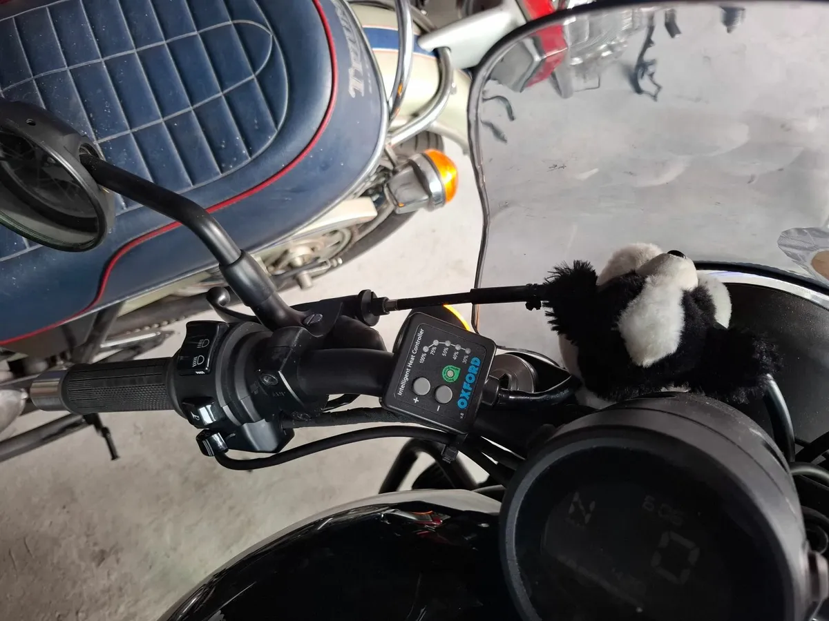Honda Rebel 500 2021 - Image 4