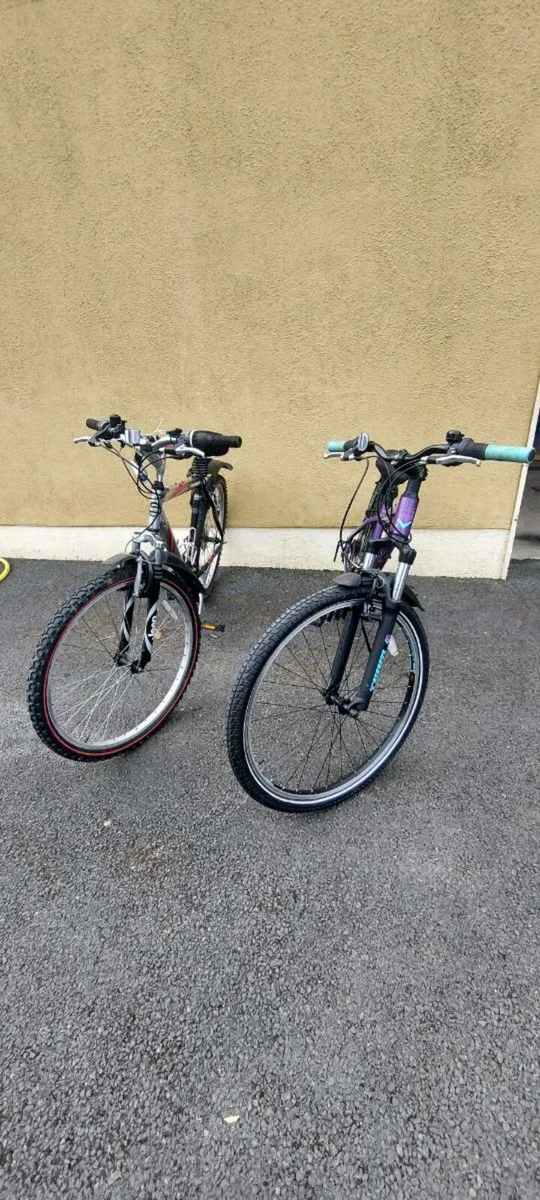 Bicycle - Image 1