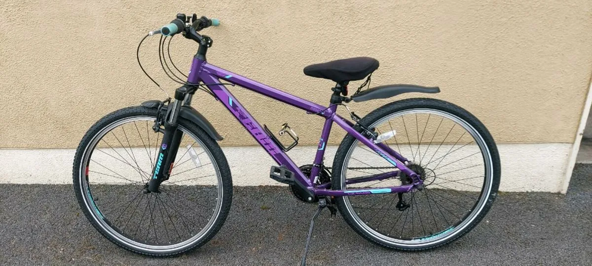Bicycle - Image 3