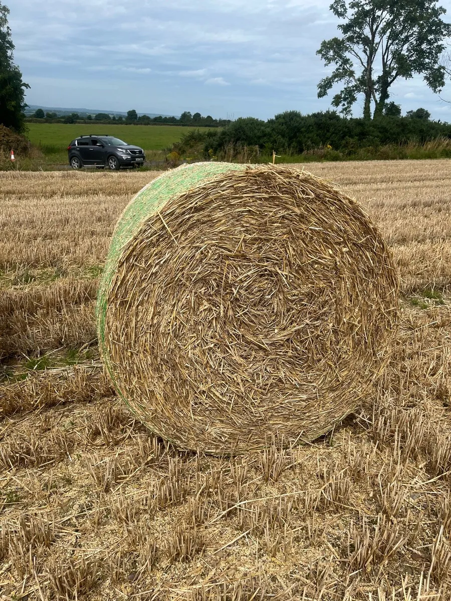 Straw - Image 1